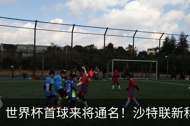 世界杯首球来将通名！沙特联新科金靴 力压C罗本泽马